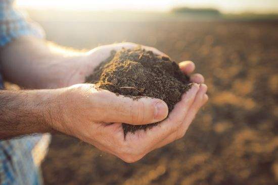 farmer-with-handful-of-soil-afc08c83